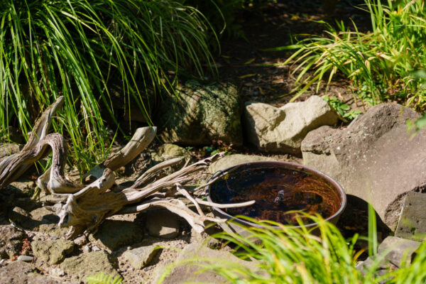 鳥原の家_水盤